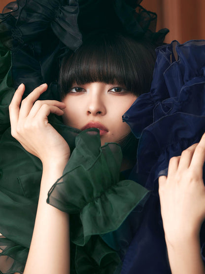 organdy volume skirt dress / オーガンジーボリュームスカートドレス