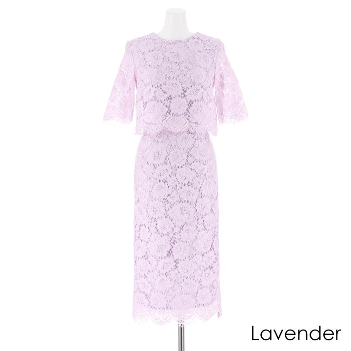 cutwork lace bodycon dress / カットワークレースタイトワンピース